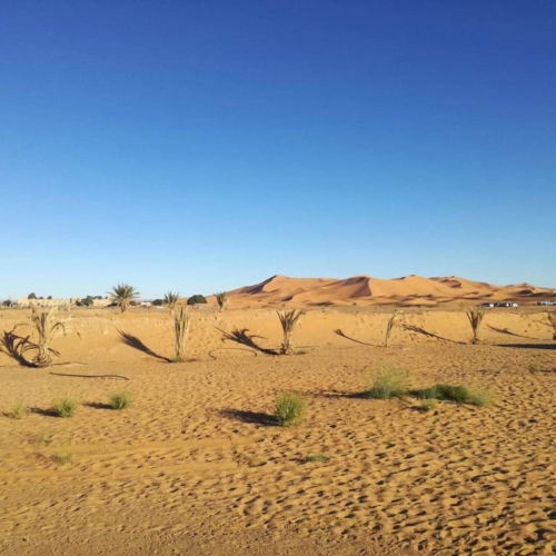 bijouterie-sallier-partenaire-du-4l-trophy-2019-desert