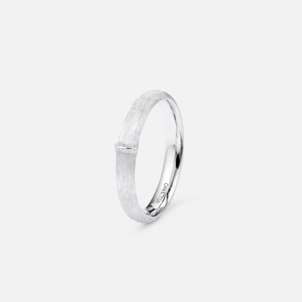 bague nature homme, or blanc, t 60