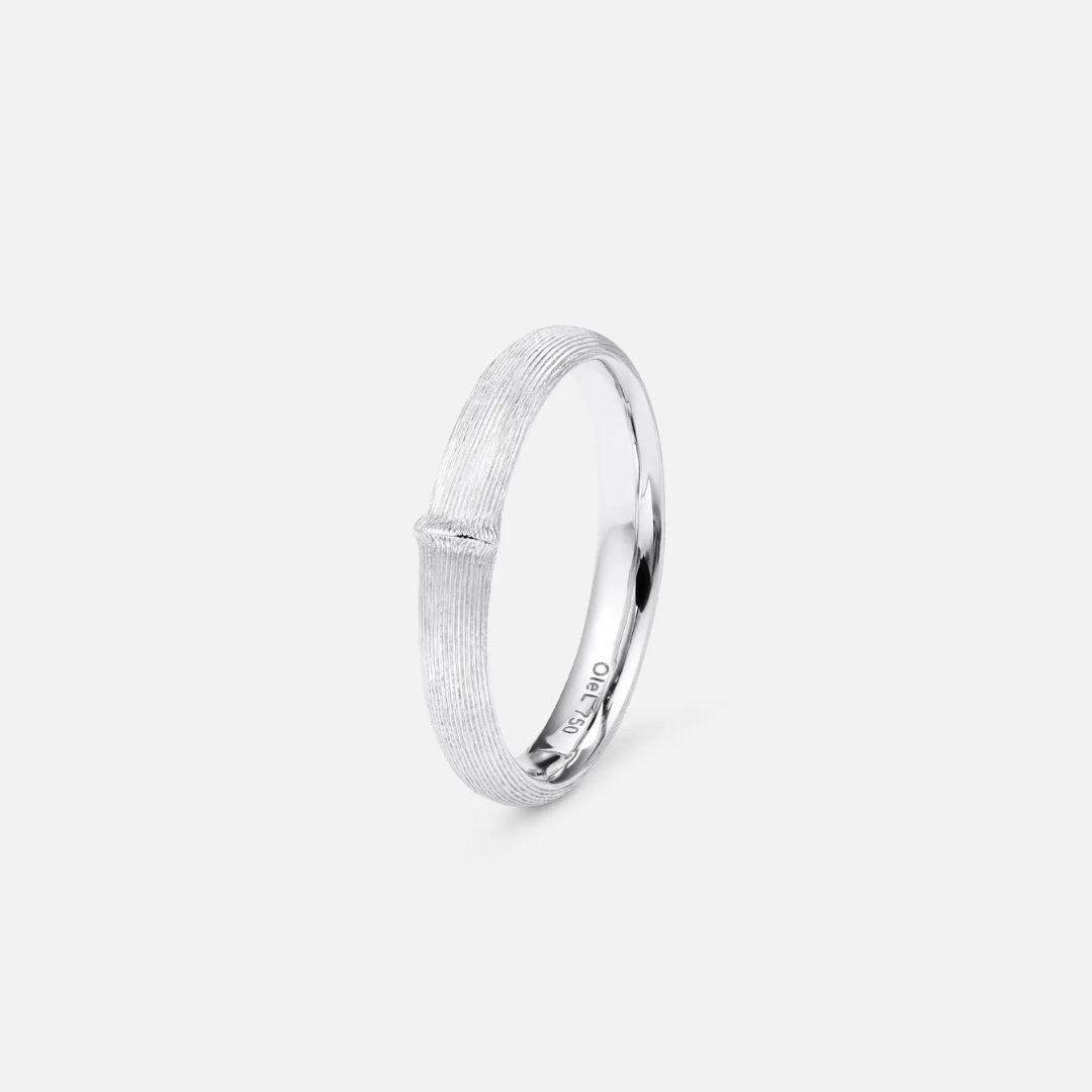bague nature homme, or blanc, t 60